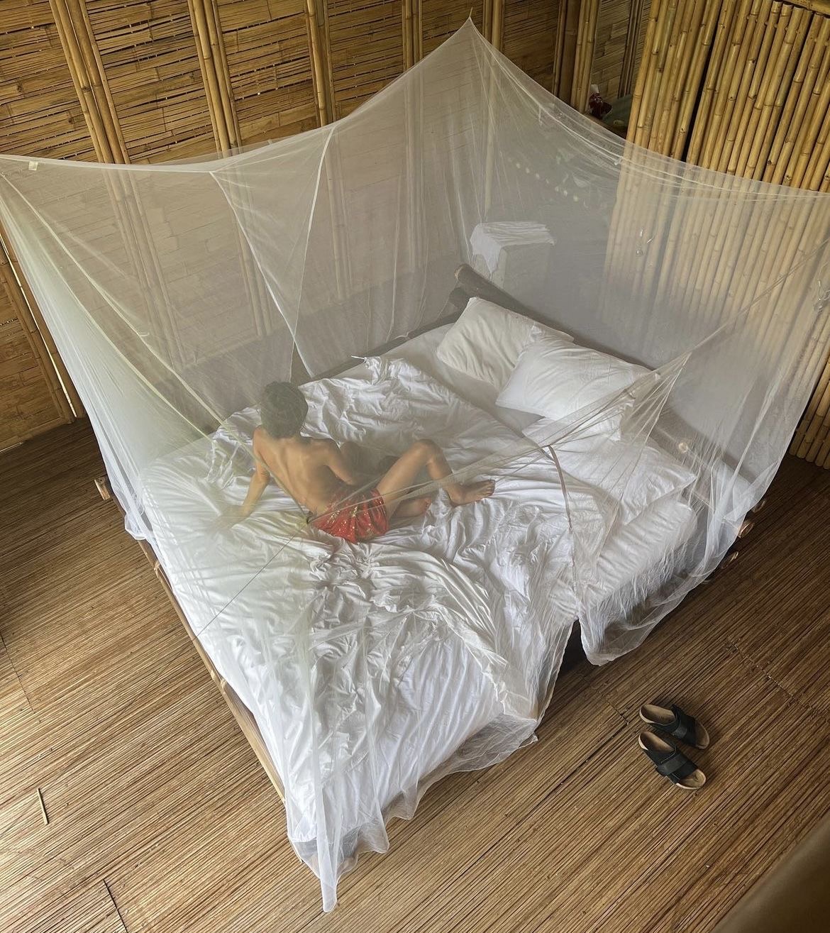 White canopy mosquito net draped over a comfortable bed