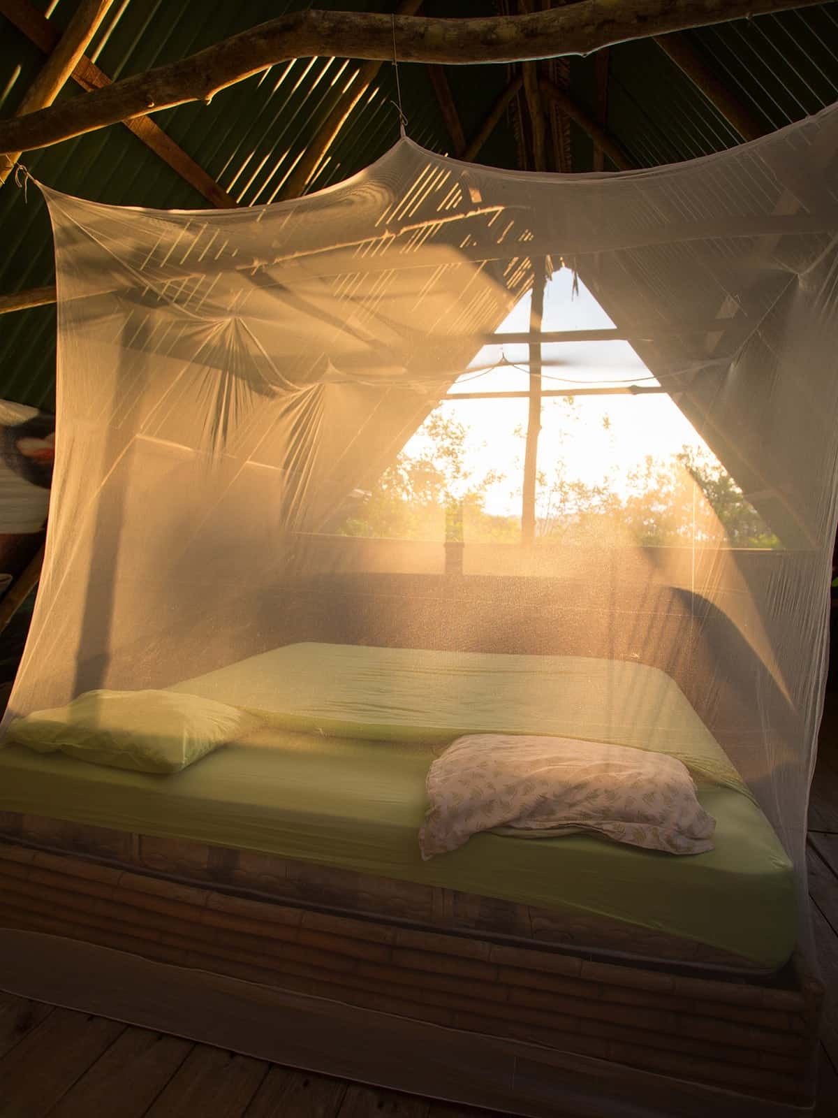 Golden light through a canopy mosquito net in a warm bedroom